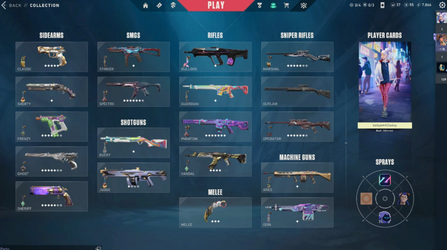Unranked Val Account