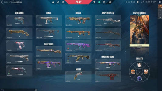 Unranked Val Account