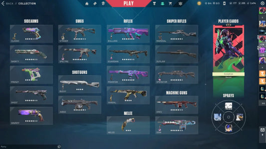Unranked Val Account