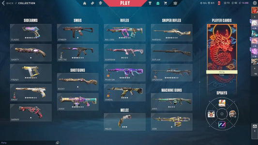 Unranked Val Account